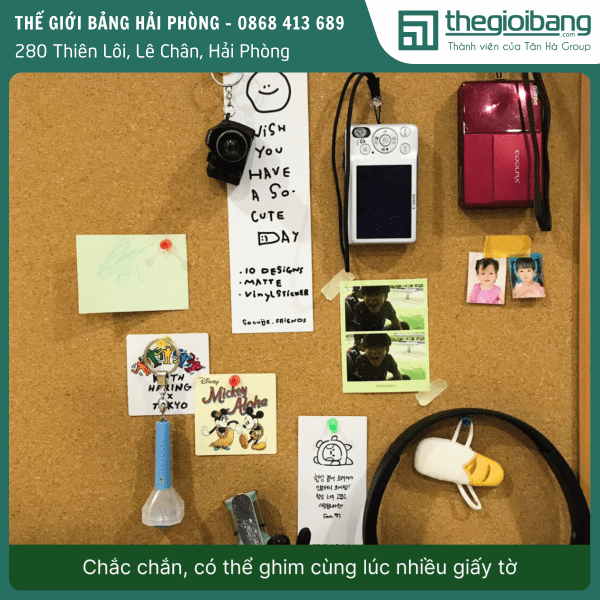 Đinh ghim mũ nhựa cho bảng ghim (3)