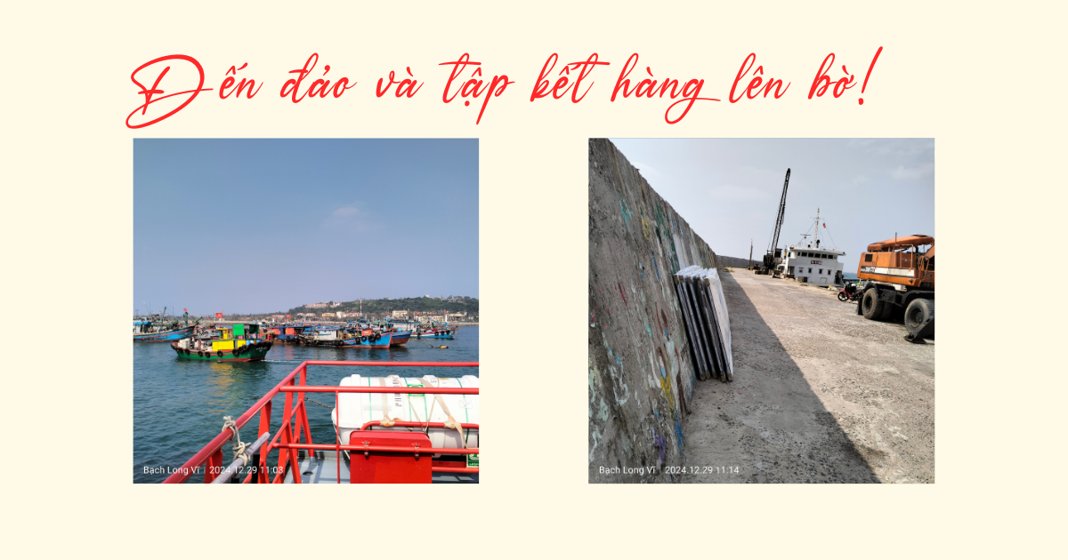 Bảng đã ra đến đảo